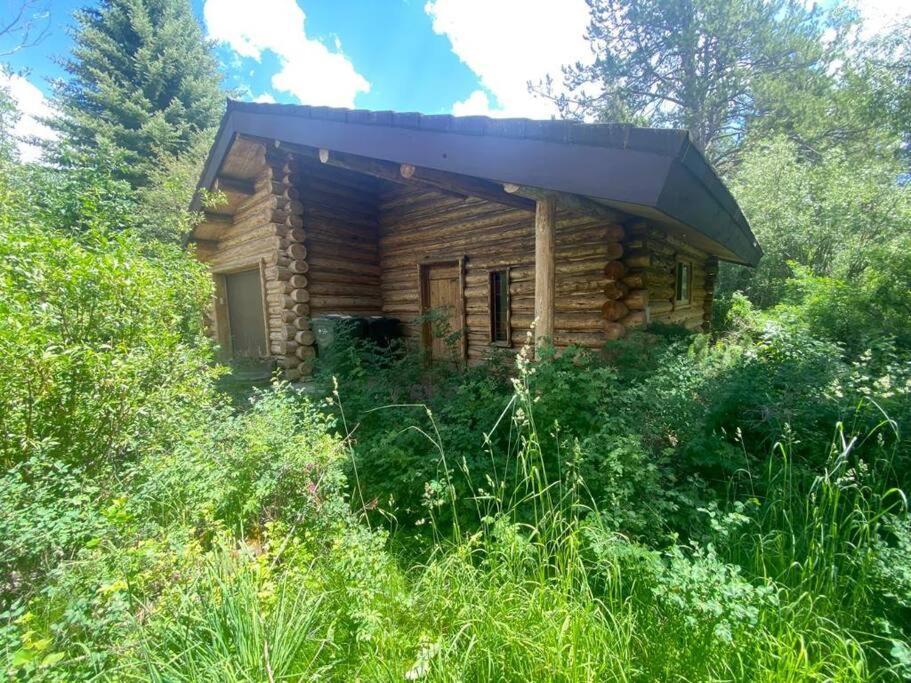 ווילסון Aspen'S Cabin מראה חיצוני תמונה